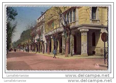 SETIF - L'AVENUE CLEMENCEAU