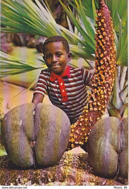 SEYCHELLES - COCO FESSES - COCO DE MER  MALE OU FEMELLE - ENFANT JEUNE GARCON