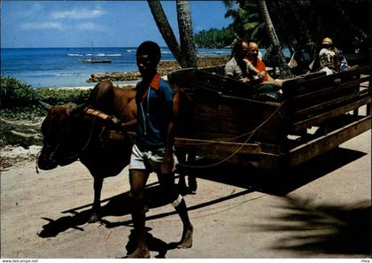 SEYCHELLES - la digue - attelage bœuf