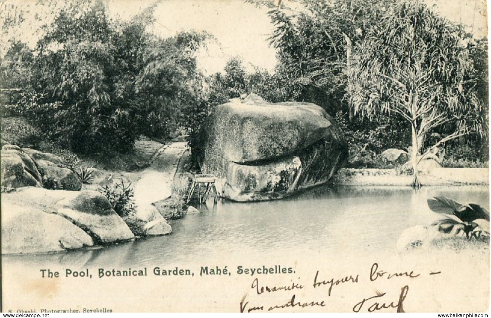 Seychelles Botanical Garden Pool 1910 photo Ohashi