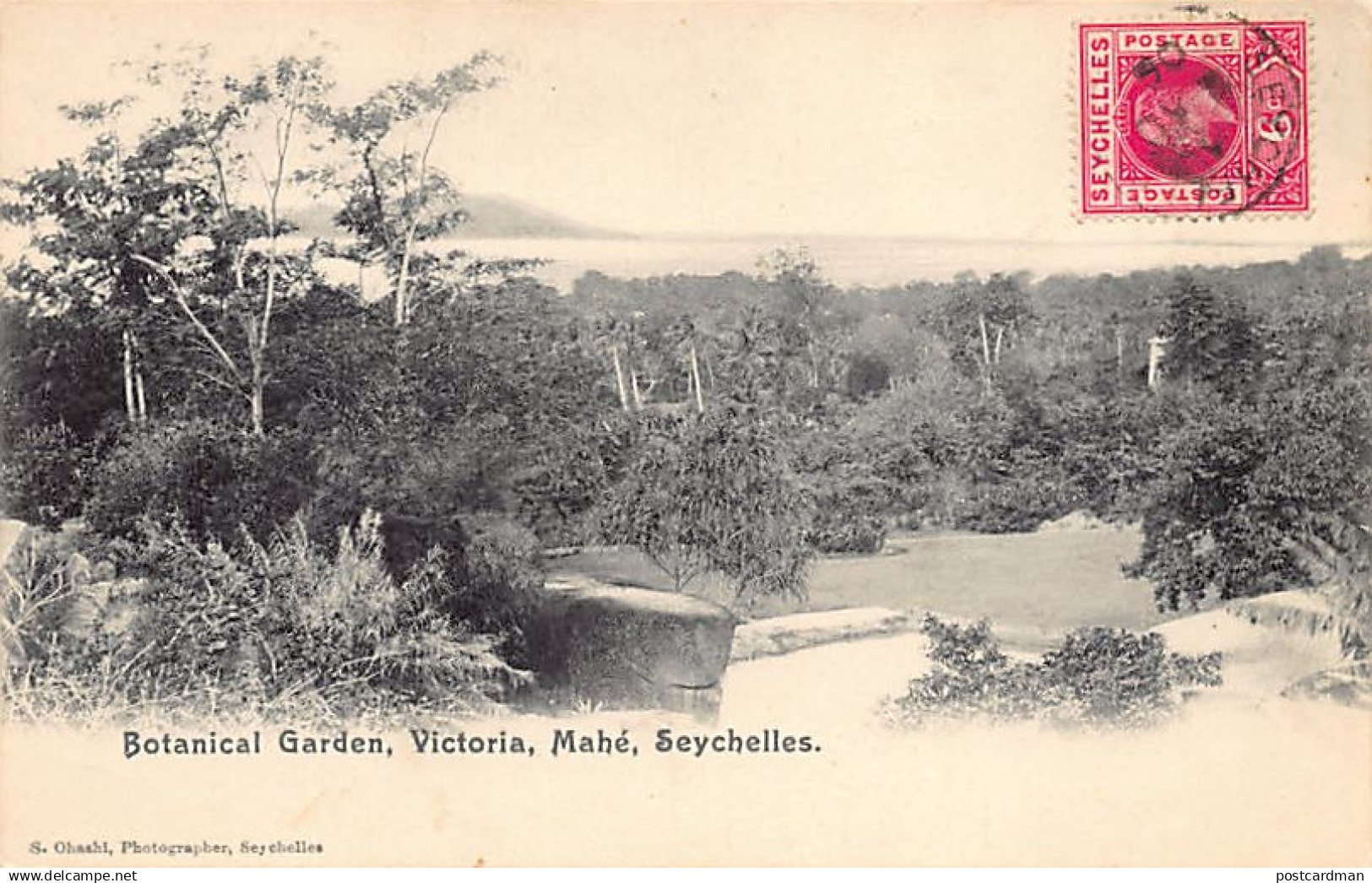 SEYCHELLES - Botanical Garden, Victoria, Mahé - Publ. S. Ohashi