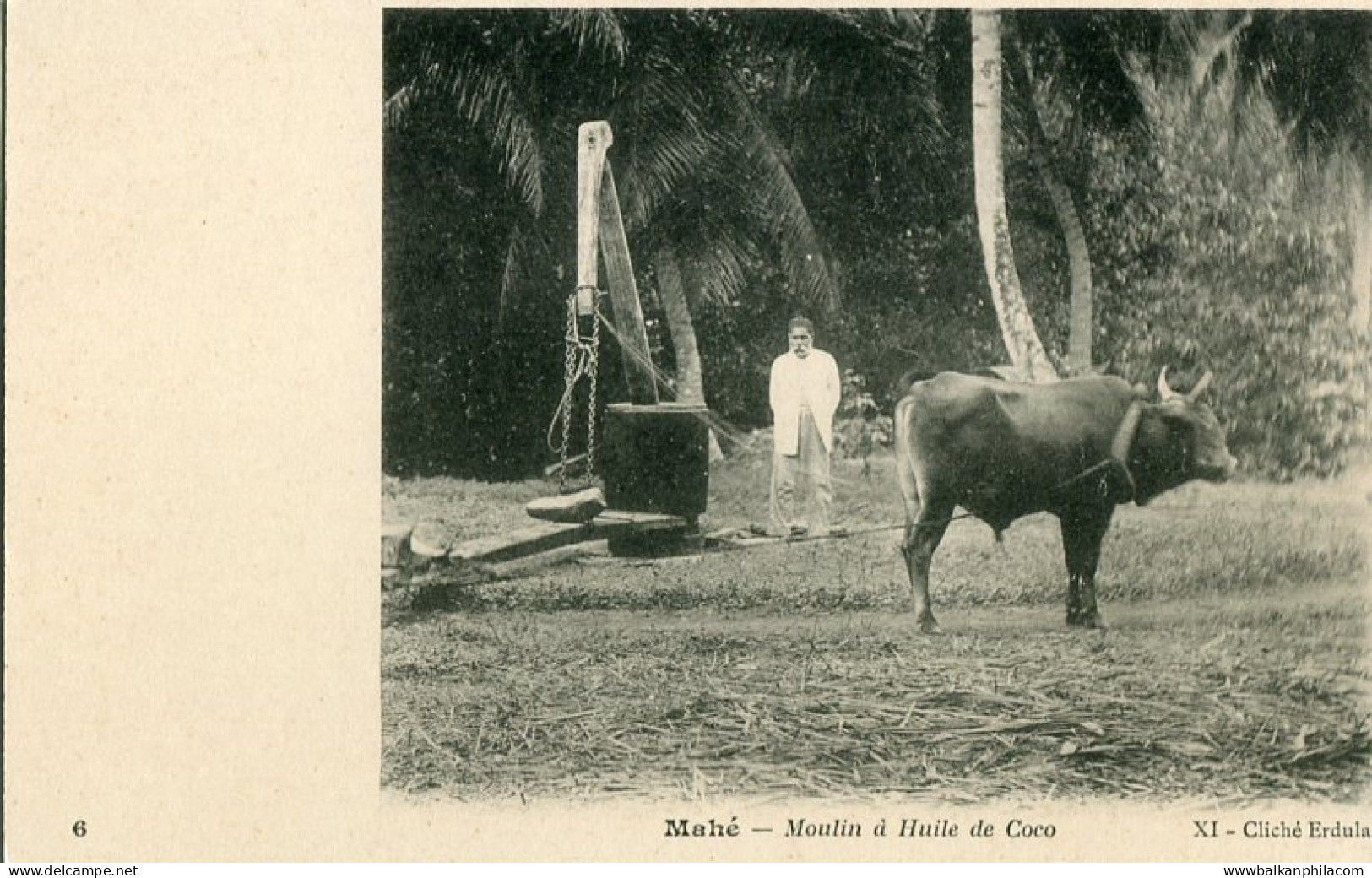 Seychelles Coconut Oil Mill Buffalo