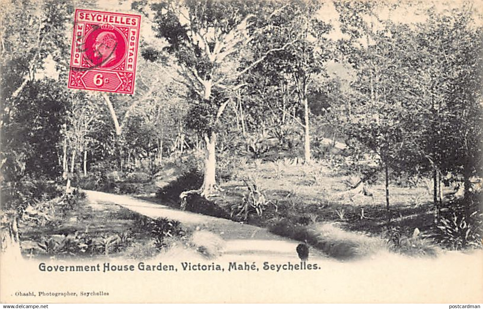 SEYCHELLES - Government House Garden, Victoria, Mahé - Publ. S. Ohashi