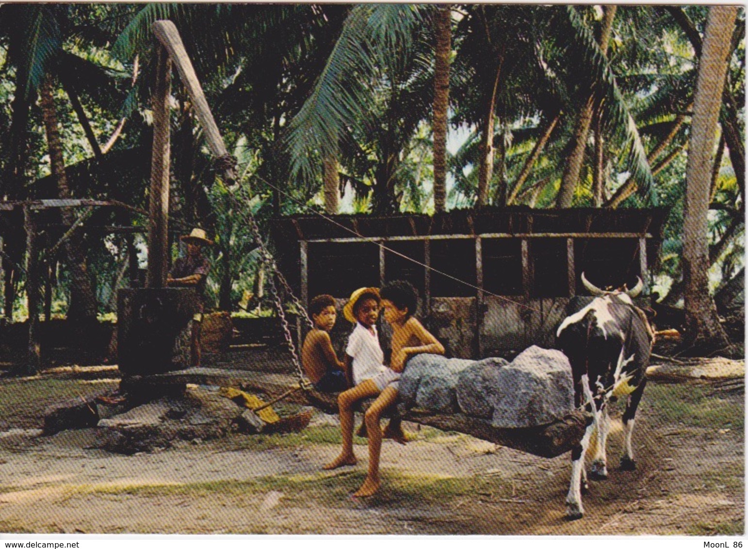 SEYCHELLES -  ILE DE LA DIGUE -  PUITS