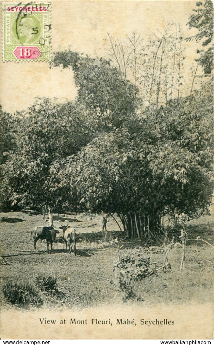 Seychelles Mahe Mont Fleuri photo Ohashi