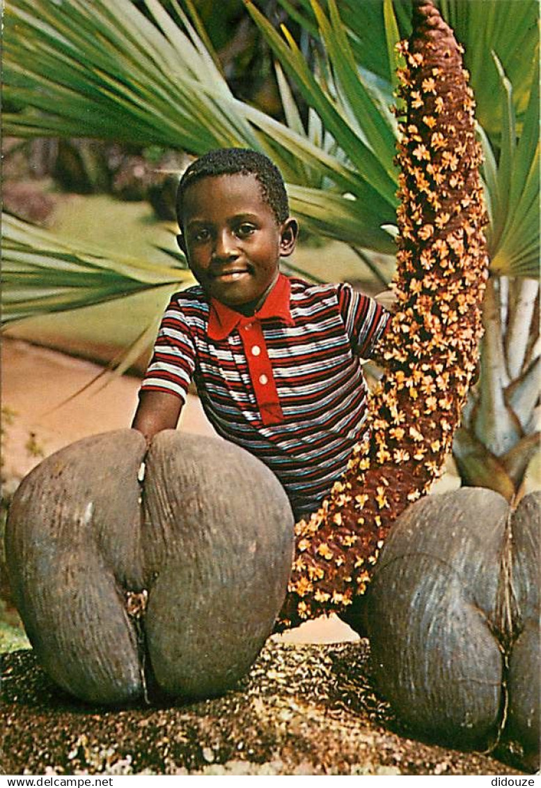 Seychelles - Male and female Coco de Mer - Enfants - CPM - Voir Scans Recto-Verso