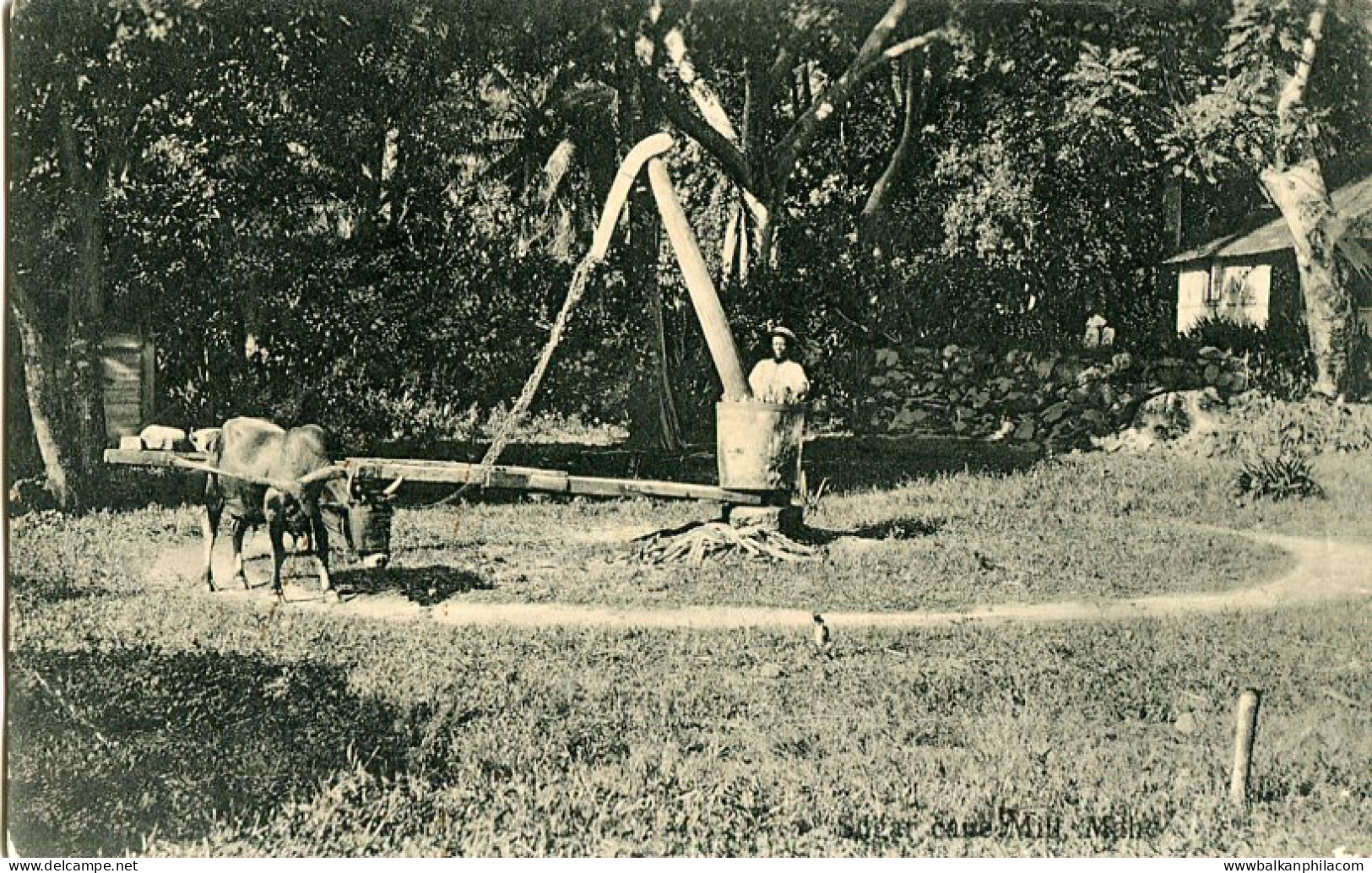 Seychelles Sugarcane Mill photo Ohashi