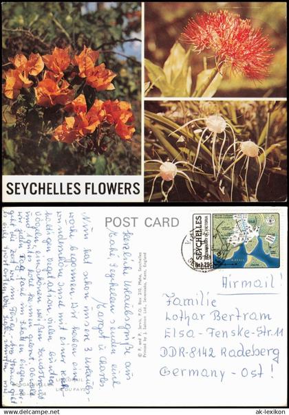 Seychellen (Seychelles)  Blumen Flower 1982  gel. Briefmarke