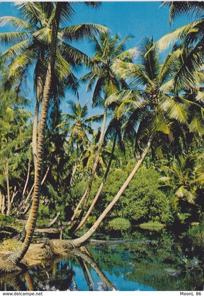 SEYCHELLES - LAGON DE LA DIGUE