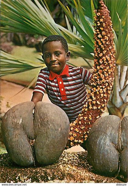 Seychelles - Male and female Coco de Mer - Enfants - CPM - Voir Scans Recto-Verso