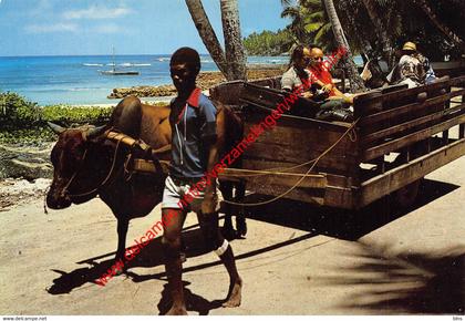 Seychelles - ox cart - la digue