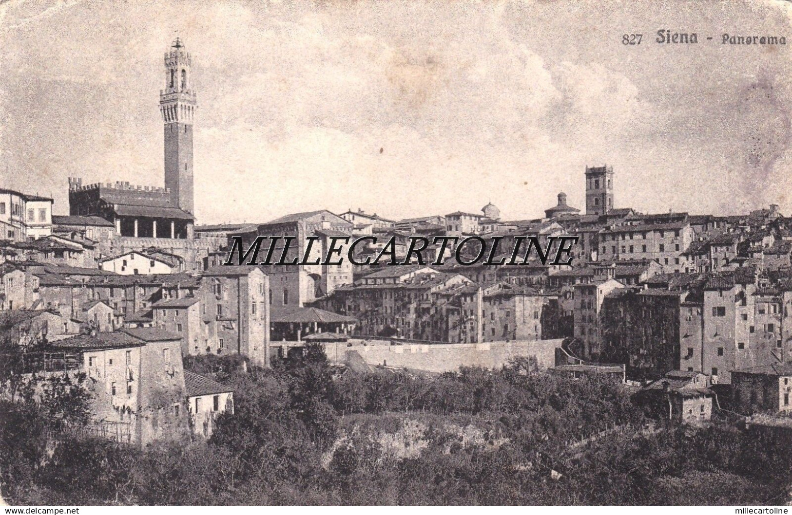 SIENA: Panorama    1920