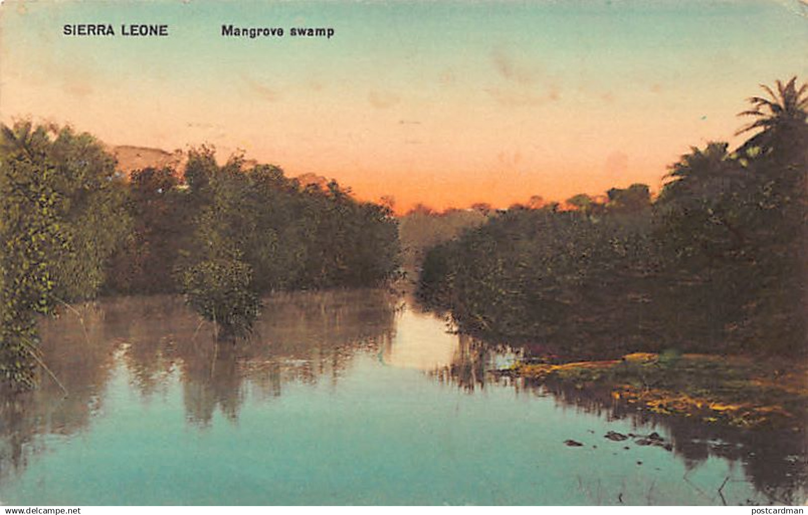 SIERRA LEONE - Mangrove swamp - Publ. Litherland, Canning & Ashworth