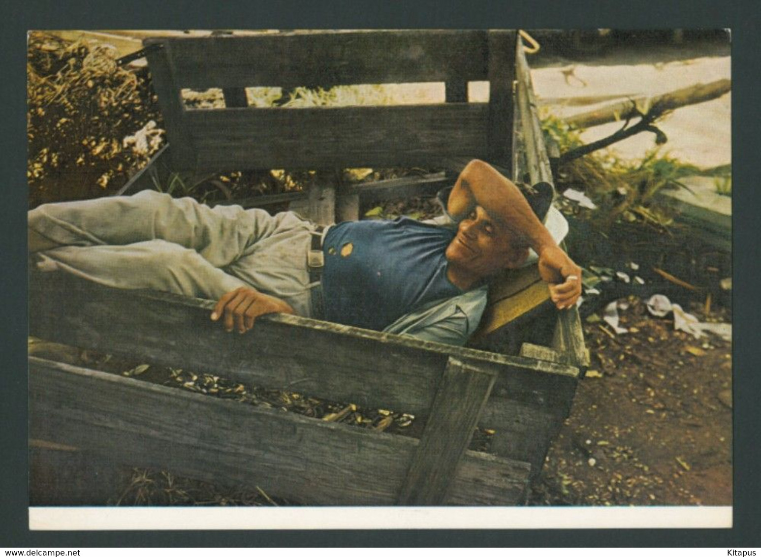 SIESTA vintage postcard Jamaica