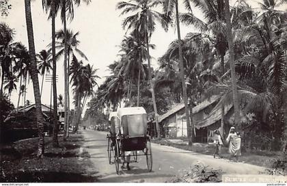 Singapore - Suburb of Singapore - REAL PHOTO - Publ. unknown