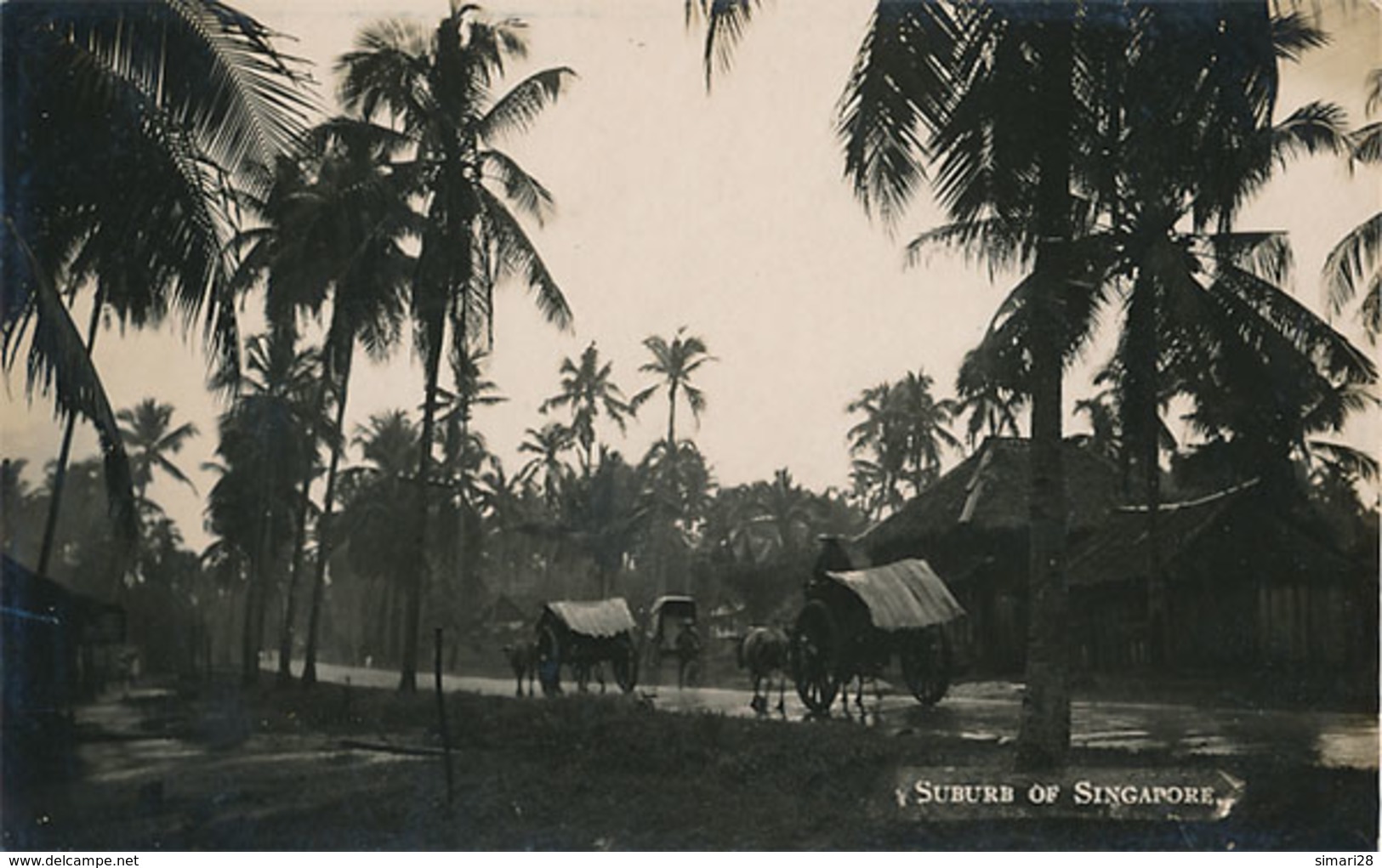 SINGAPOUR - CARTE PHOTO - SUBURB OF SINGAPOUR