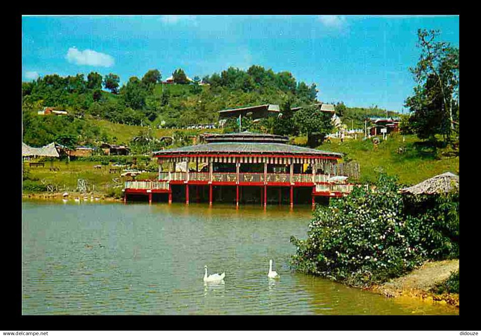 Singapour - Jurong Bird Park - CPM - Voir Scans Recto-Verso