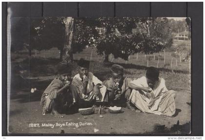 Singapour  - Malay Boys eating Durian - Carte Photo