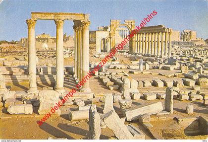 Palmyra - general view - Syrie Syria