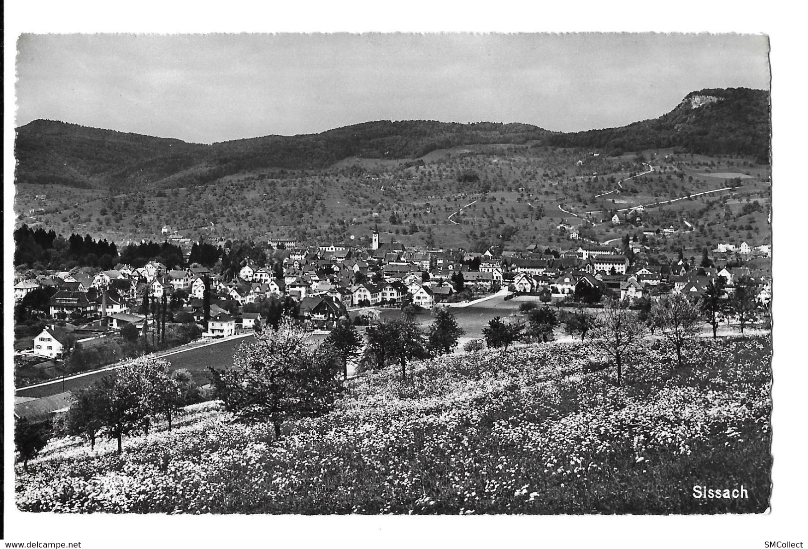 Sissach, vue générale (6121)