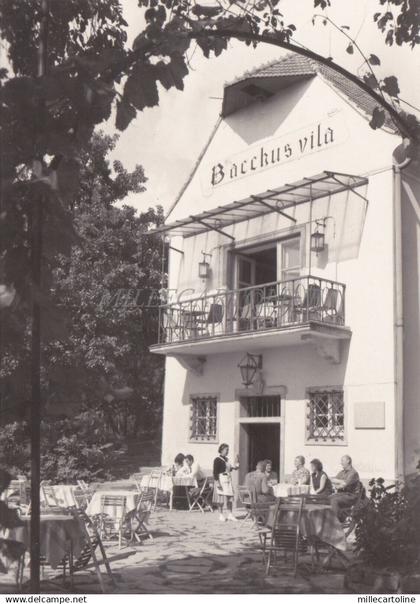 SLOVAKIA - Piestany - Bacchus Vila