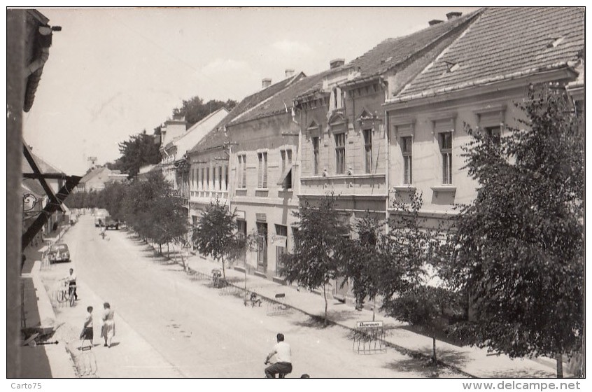 Slovénie - Slovenia - Gaberje - Lendava - 1962 - Carte-Photo - Yougoslavie