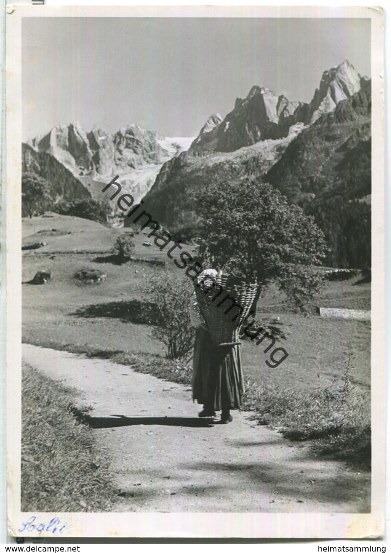 Soglio - Frau mit Kiepe - Foto-Ansichtskarte - Verlag P. Pomatti Castasegna