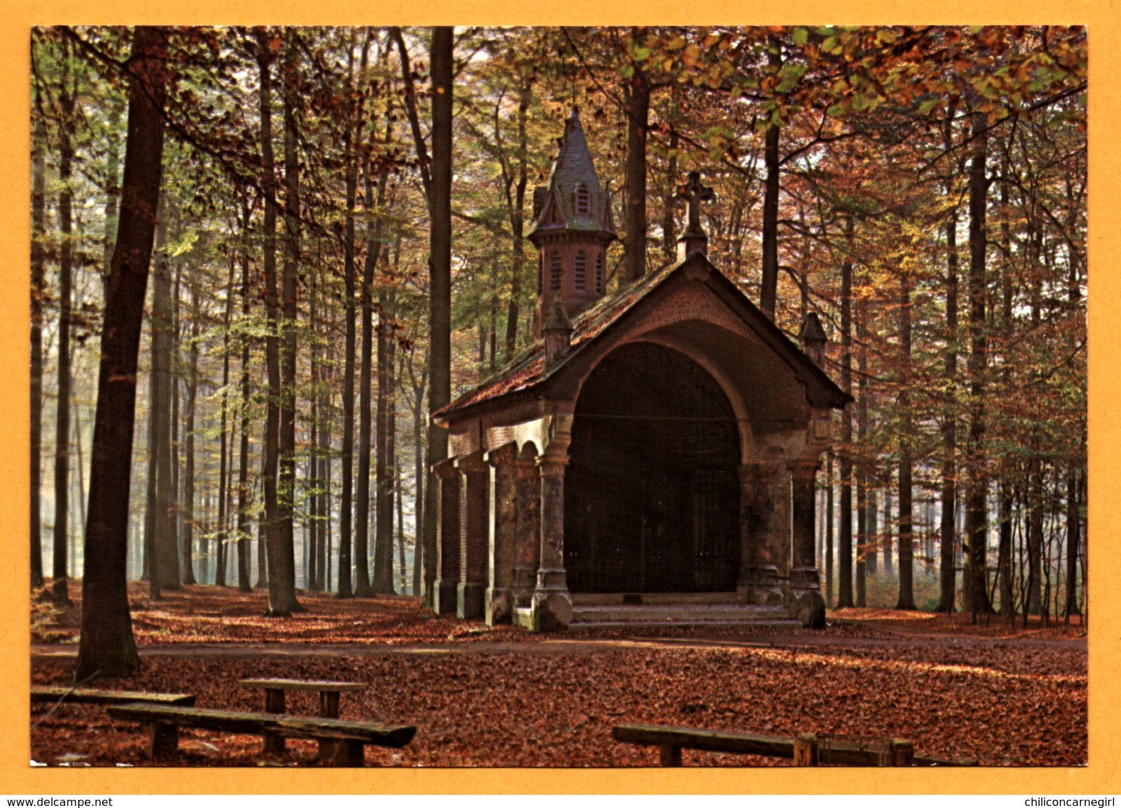 Soignies - Forêt de Soignies - N. D. de Bonne Odeur - Zoniënwoud - O.L.V. Welriekende - LE BERRURIER