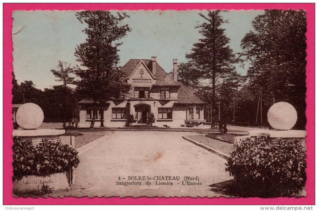 Solre le Château - Sanatorium de Liessies - L'Entrée - LELEUX - Colorisée