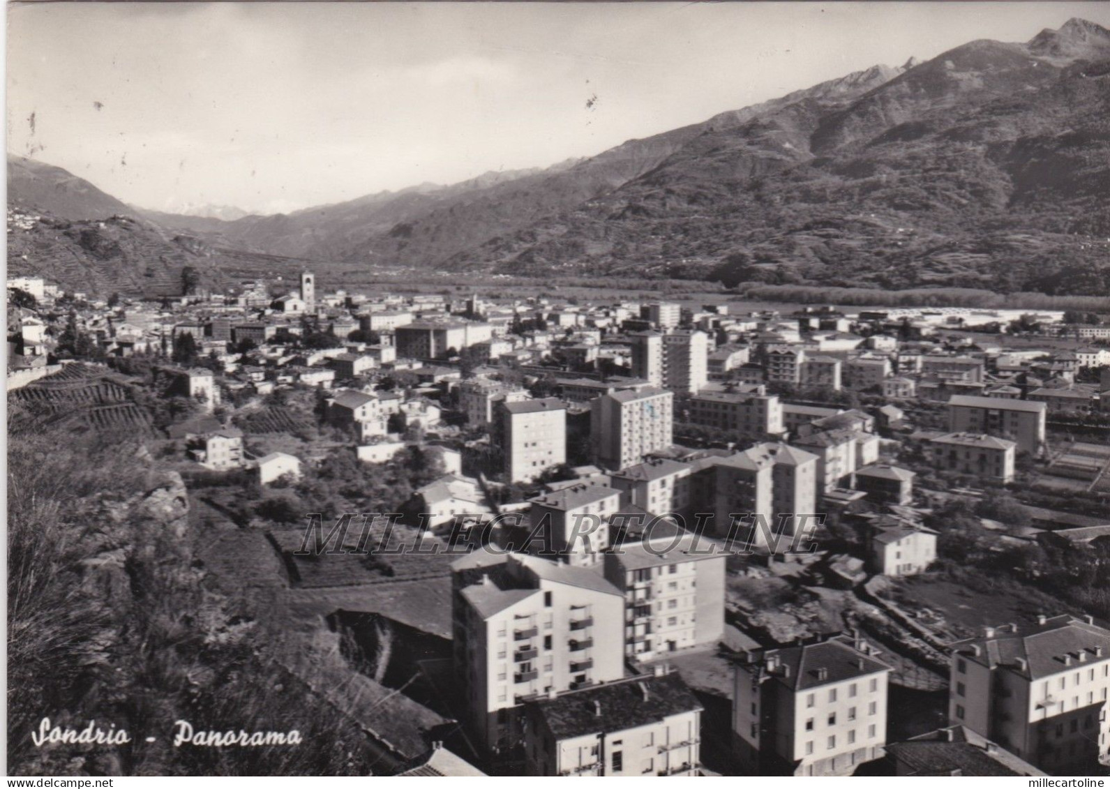 SONDRIO: Panorama   1958