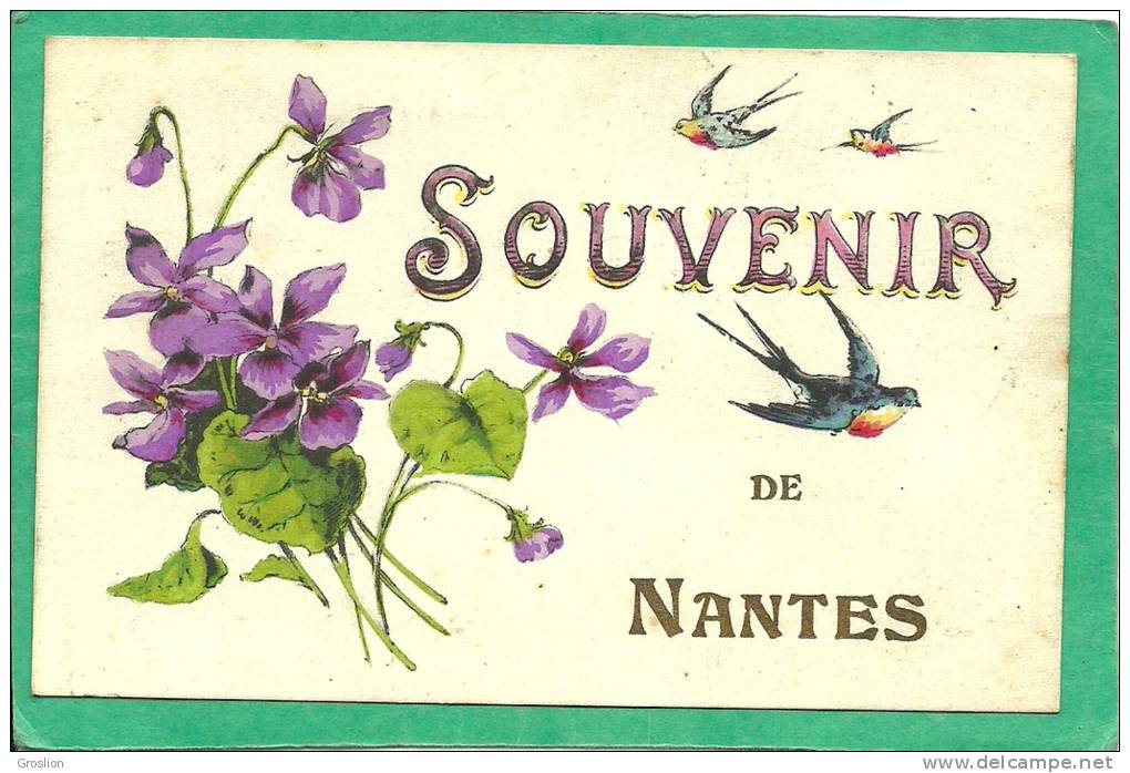 SOUVENIR DE NANTES ( VIOLETTE - HIRONDELLE)