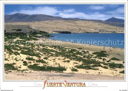 72497707 Fuerteventura Strand