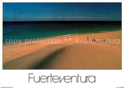 73161880 Fuerteventura Strand Duenen