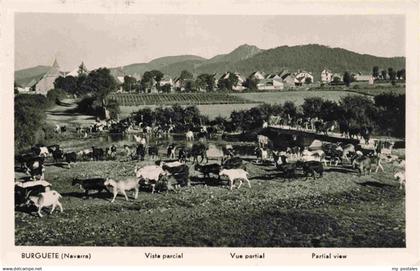 73977100 Burguete Pirineo-Navarro Pamplona Navarra ES Panorama