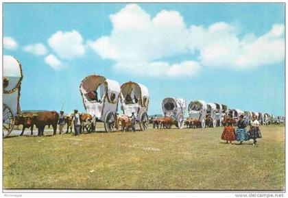 ANDALUCIA - Romeria del Rocio