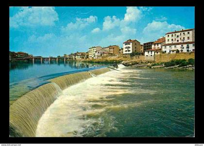 Espagne - Espana - Castilla y Leon - Miranda de Ebro - Rio Ebro - Le fleuve Ebro - CPM - Voir Scans Recto-Verso