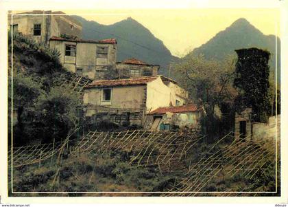 Espagne - Espana - Islas Canarias - Hernigua - CPM - Voir Scans Recto-Verso