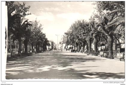 POSTAL  LINARES - JAÉN -  (ESPAÑA)  PASEO DE LINAREJOS -PRIMER TRAMO-  (EDIC. ARRIBAS)