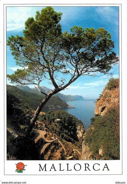 Espagne - Espana - Islas Baleares - Mallorca - Estallenchs - CPM - Voir Scans Recto-Verso