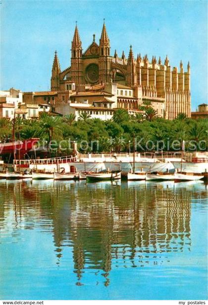 73067266 Palma de Mallorca La Catedral Palma de Mallorca