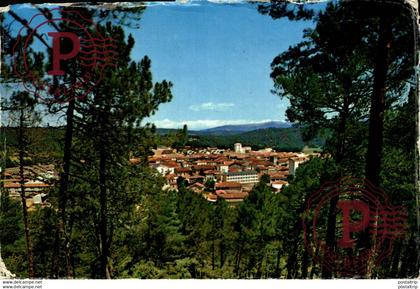 SORIA. NAVALENO. UN NIDO EN EL PINAR.