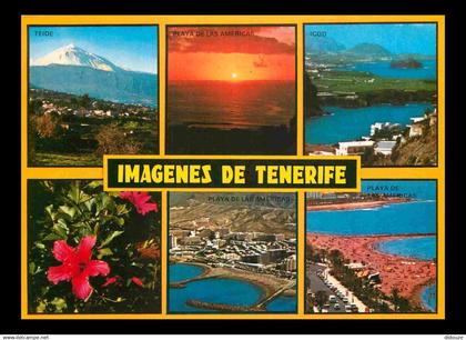 Espagne - Espana - Islas Canarias - Tenerife - Multivues - CPM - Voir Scans Recto-Verso