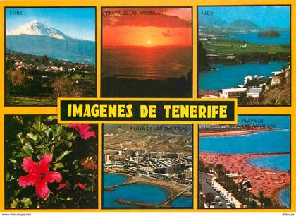 Espagne - Espana - Islas Canarias - Tenerife - Multivues - CPM - Voir Scans Recto-Verso