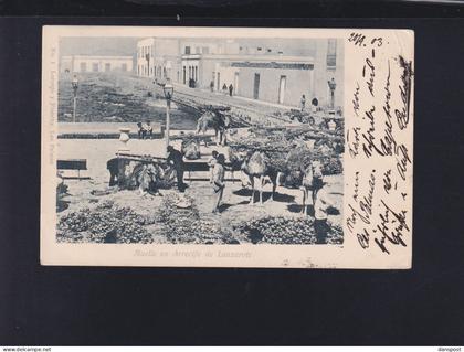 Spanien Espana AK Muelle en Arrecife de Lanzarote 1903