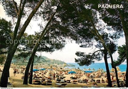 Paguera Mallorca Islas Baleares Strand