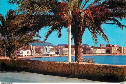 Espagne - Espana - Comunidad Valenciana - Benidorm - Palmiers - CPM - Voir Scans Recto-Verso