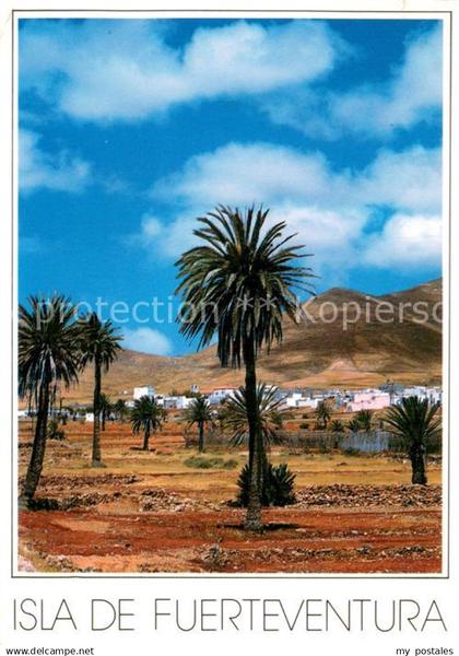 Fuerteventura Panorama