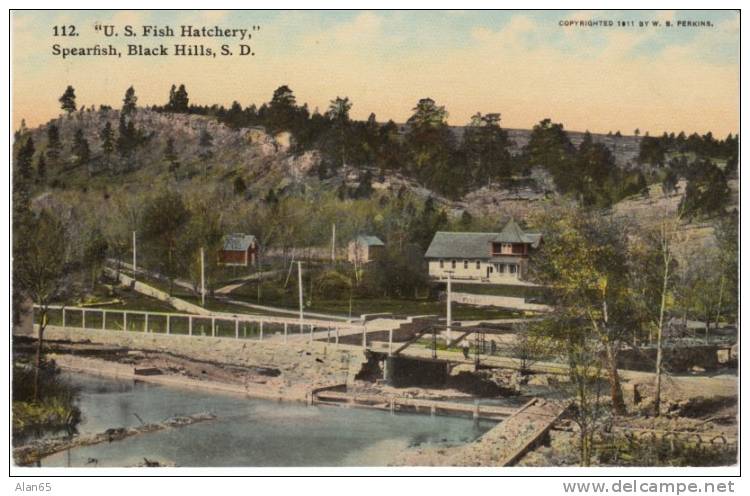 Spearfish South Dakota SD, US Fish Hatchery on c1910 Vintage Postcard