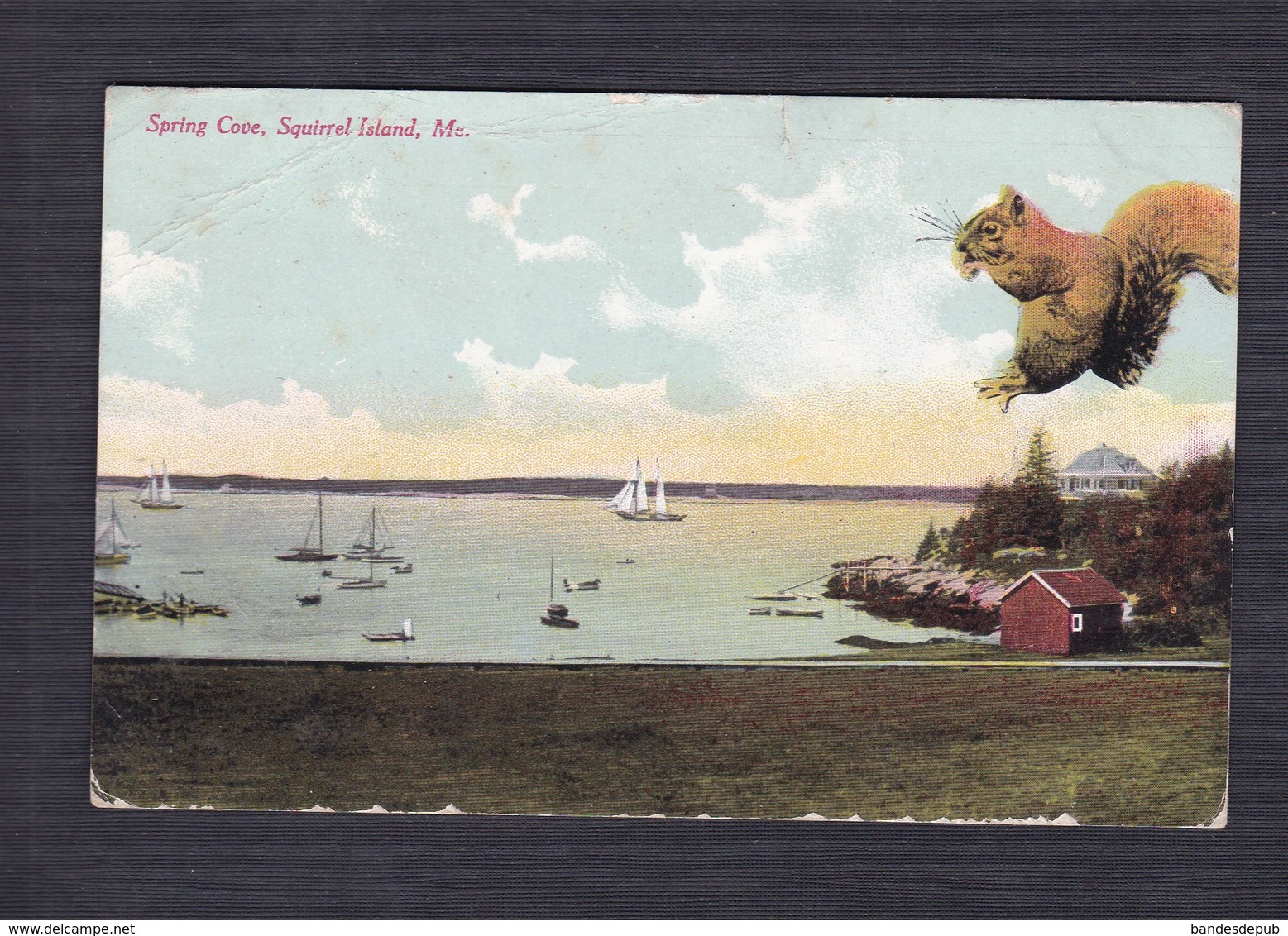 Spring Cove - Squirrel Island - Maine ( ecureuil G.W. Morris)