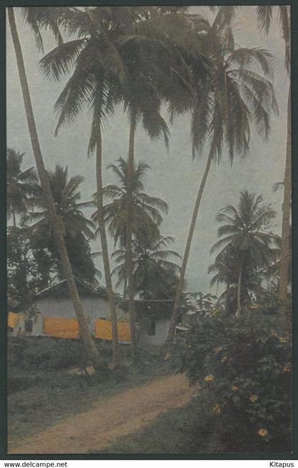 CEYLON vintage postcard Sri Lanka